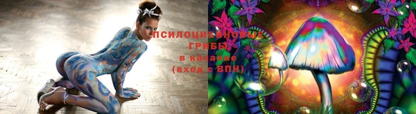 стаф Беломорск