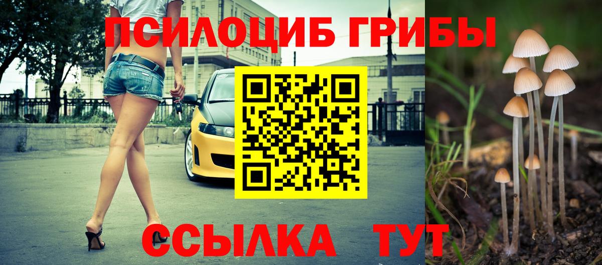 Галлюциногенные грибы Cubensis Бугульма